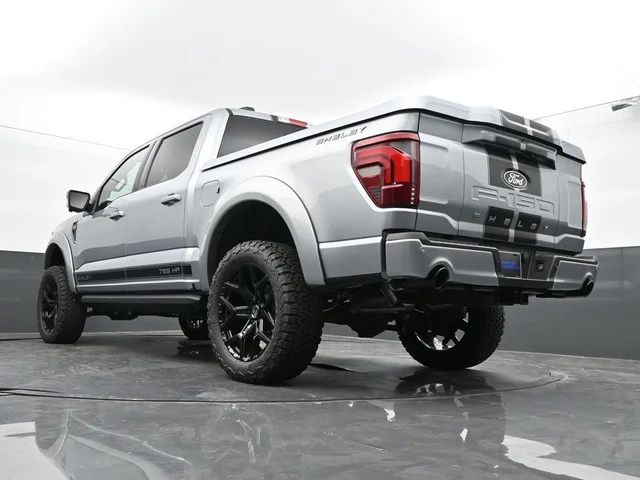 Nuevos FORD F-150 à Estados chez autogozo