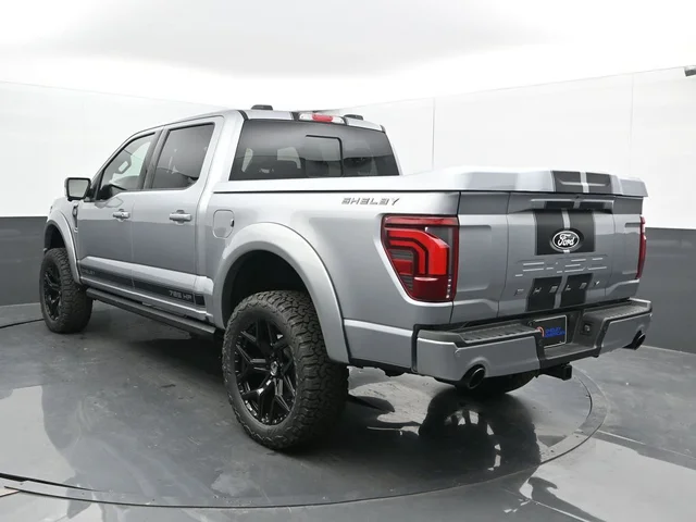Nuevos FORD F-150 à Estados chez autogozo