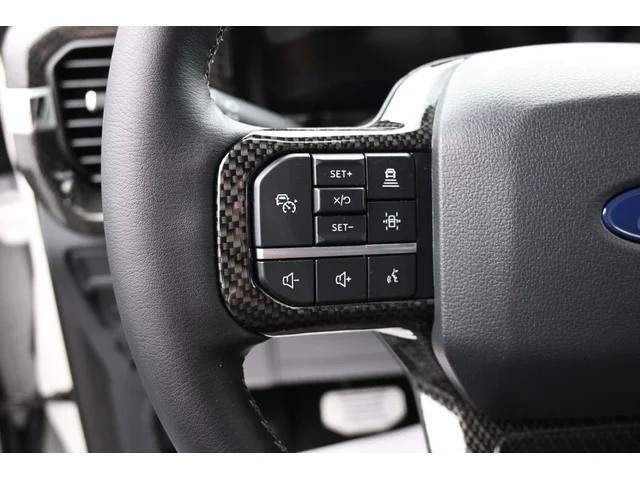 Nuevos FORD F-150 à Estados chez autogozo