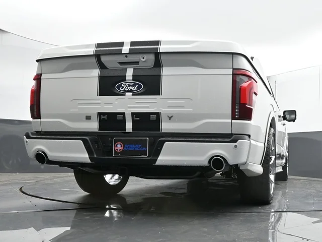 Nuevos FORD F-150 à Estados chez autogozo
