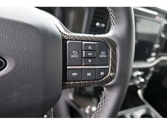 Nuevos FORD F-150 à Estados chez autogozo
