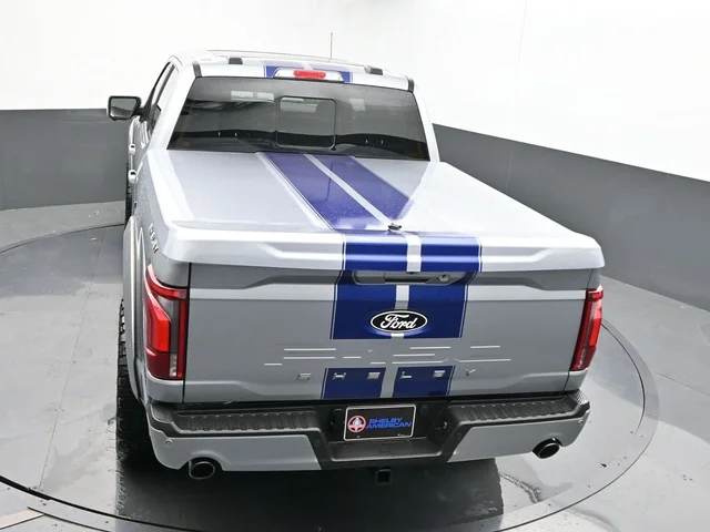Nuevos FORD F-150 à Estados chez autogozo