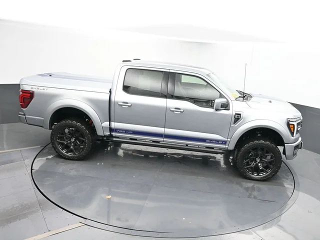 Nuevos FORD F-150 à Estados chez autogozo