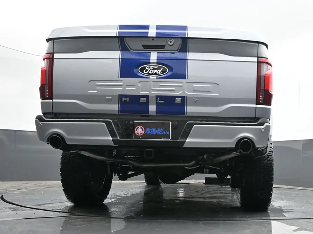 Nuevos FORD F-150 à Estados chez autogozo
