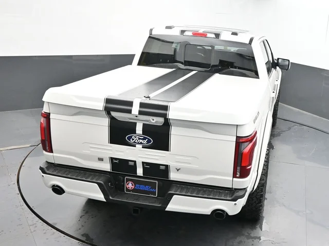 Nuevos FORD F-150 à Estados chez autogozo