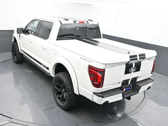 Nuevos FORD F-150 à Estados chez autogozo