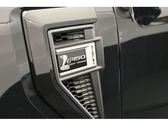 Nuevos FORD F-150 à Estados chez autogozo