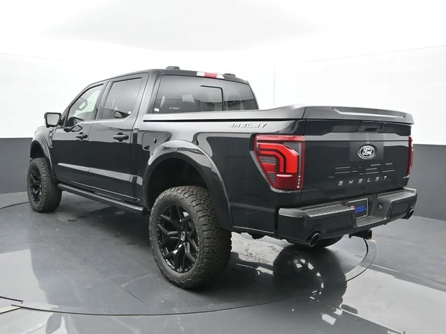 Nuevos FORD F-150 à Estados chez autogozo