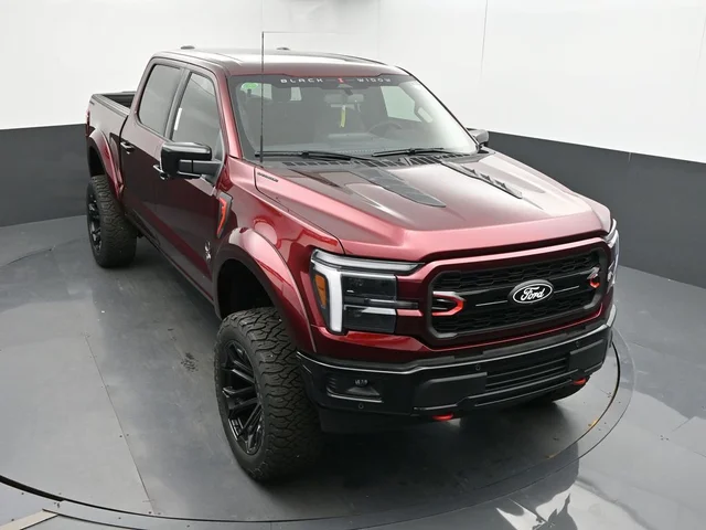 Nuevos FORD F-150 à Estados chez autogozo