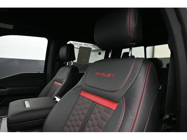 Nuevos FORD F-150 à Estados chez autogozo