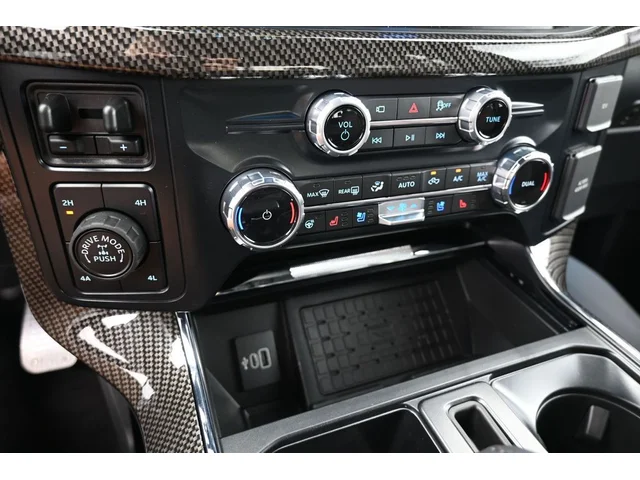 Nuevos FORD F-150 à Estados chez autogozo