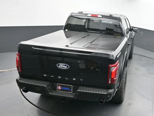 Nuevos FORD F-150 à Estados chez autogozo