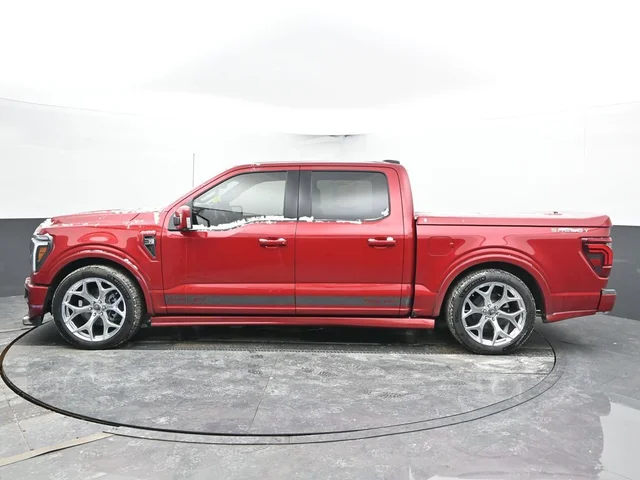 Nuevos FORD F-150 à Estados chez autogozo