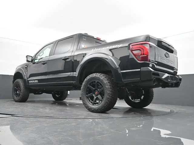 Nuevos FORD F-150 à Estados chez autogozo