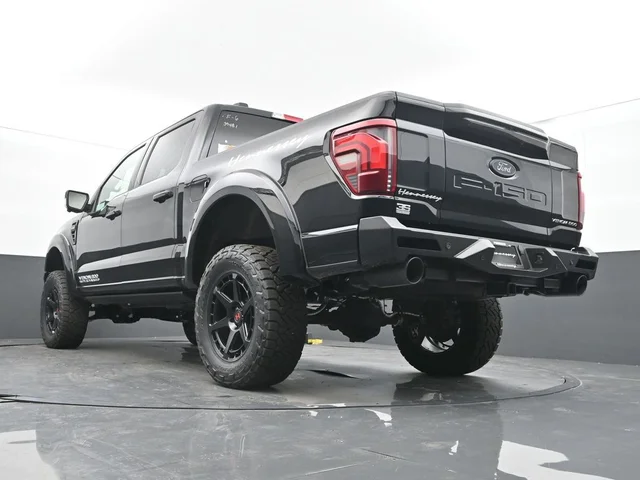 Nuevos FORD F-150 à Estados chez autogozo
