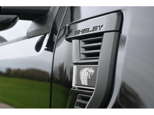 Nuevos FORD F-150 à Estados chez autogozo