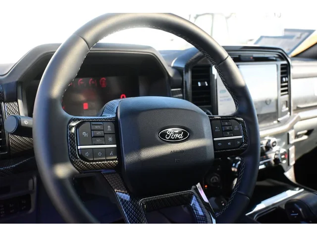 Nuevos FORD F-150 à Estados chez autogozo