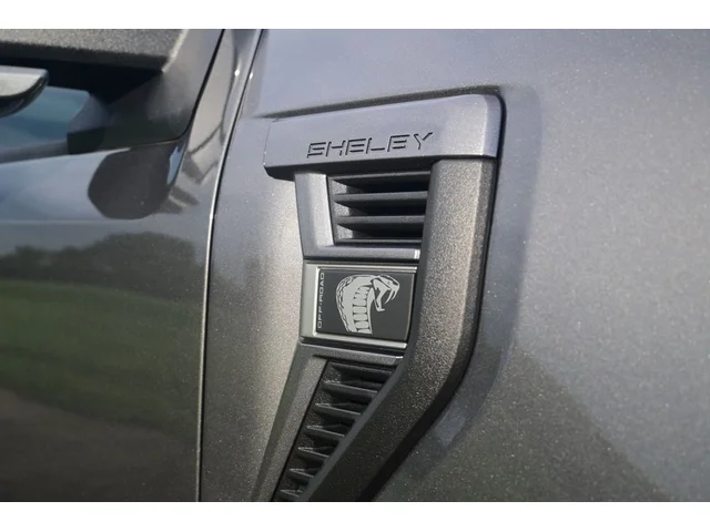 Nuevos FORD F-150 à Estados chez autogozo