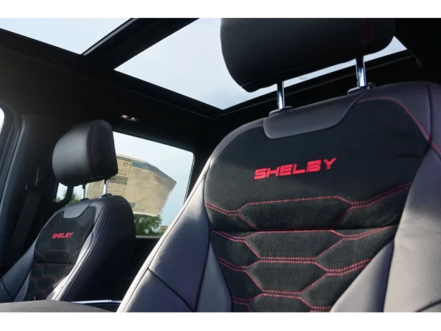 Nuevos FORD F-150 à Estados chez autogozo