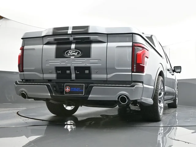 Nuevos FORD F-150 à Estados chez autogozo