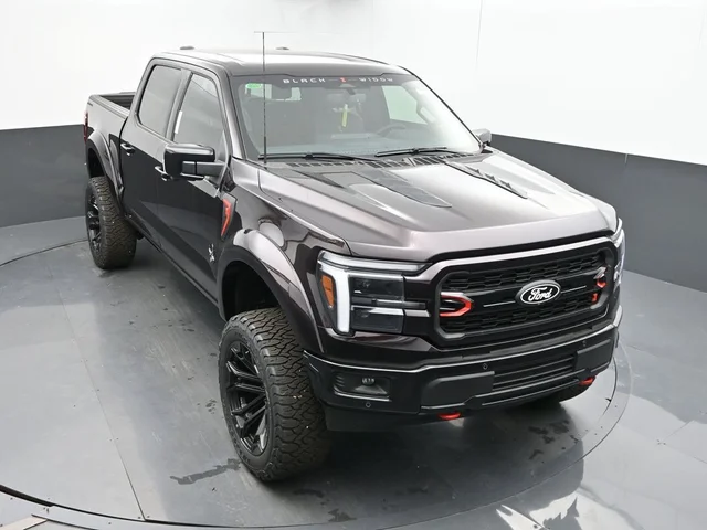 Nuevos FORD F-150 à Estados chez autogozo