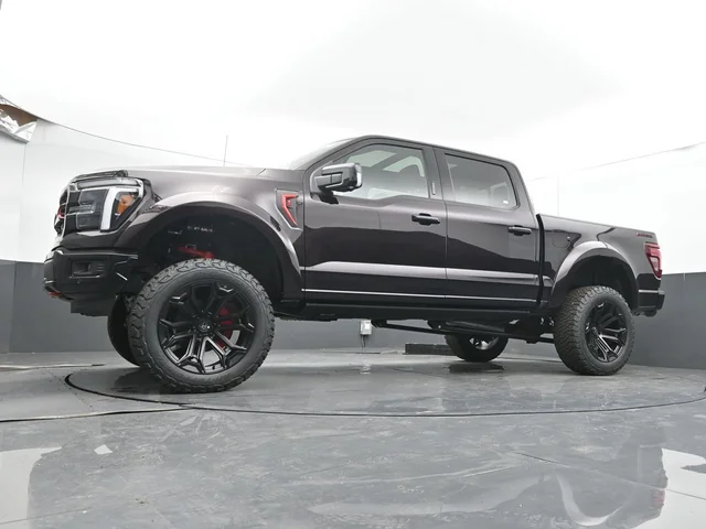 Nuevos FORD F-150 à Estados chez autogozo