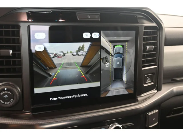 Nuevos FORD F-150 à Estados chez autogozo