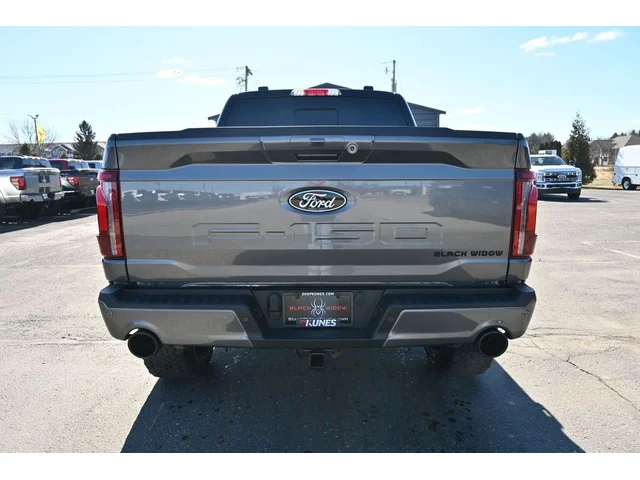 Nuevos FORD F-150 à Estados chez autogozo
