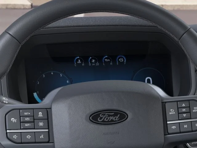 Nuevos FORD F-150 à Estados chez autogozo