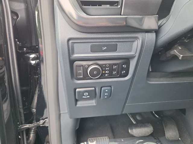 Nuevos FORD F-150 à Estados chez autogozo