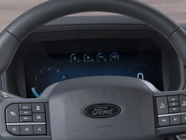 Nuevos FORD F-150 à Estados chez autogozo