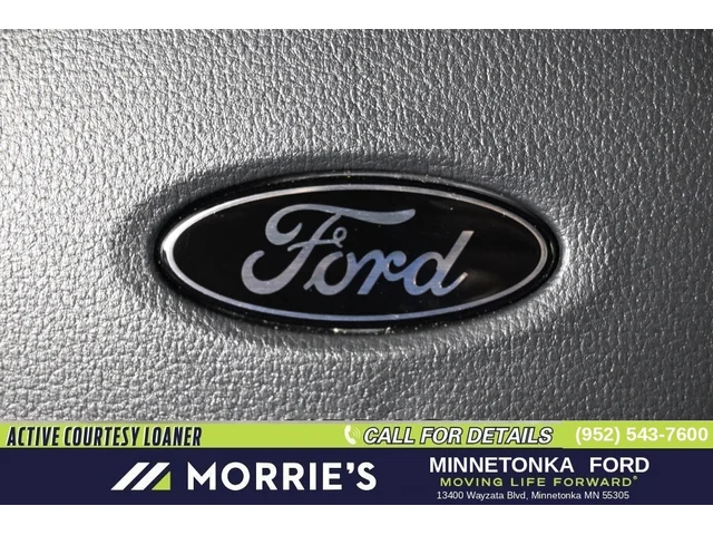 Nuevos FORD F-150 à Estados chez autogozo