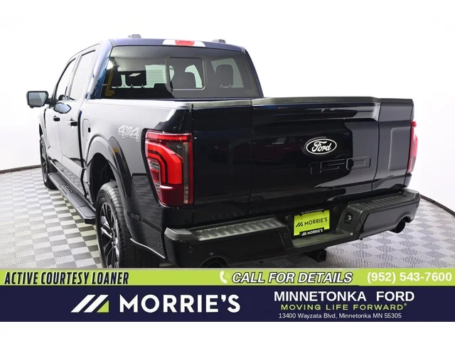 Nuevos FORD F-150 à Estados chez autogozo