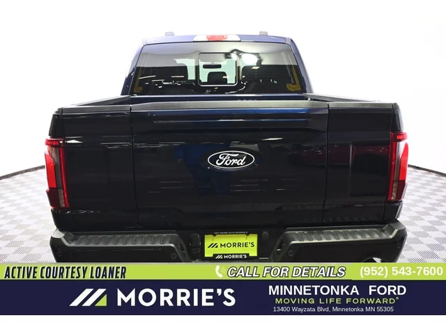 Nuevos FORD F-150 à Estados chez autogozo