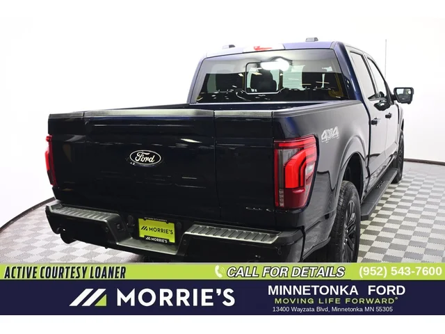 Nuevos FORD F-150 à Estados chez autogozo