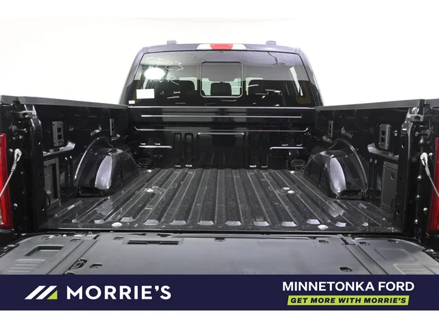 Nuevos FORD F-150 à Estados chez autogozo
