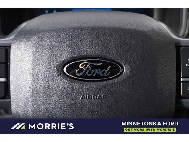 Nuevos FORD F-150 à Estados chez autogozo