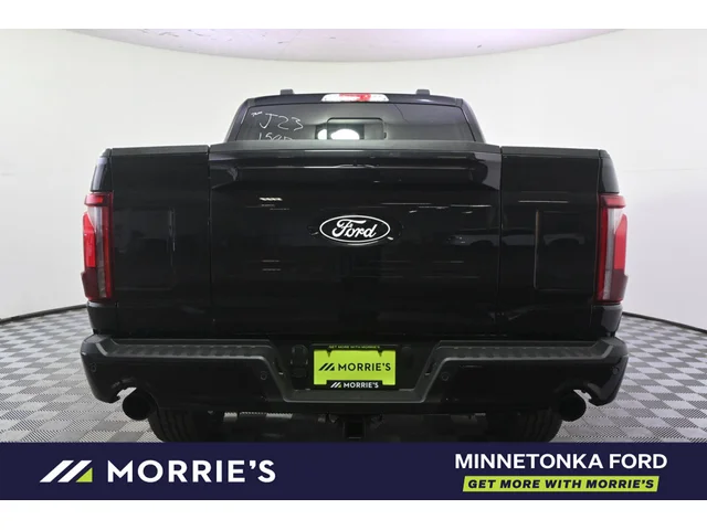 Nuevos FORD F-150 à Estados chez autogozo