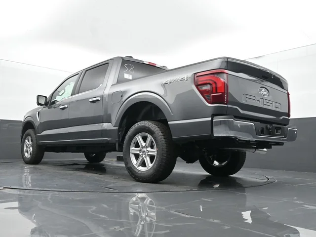 Nuevos FORD F-150 à Estados chez autogozo
