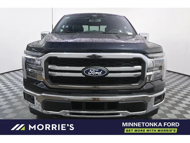 Nuevos FORD F-150 à Estados chez autogozo
