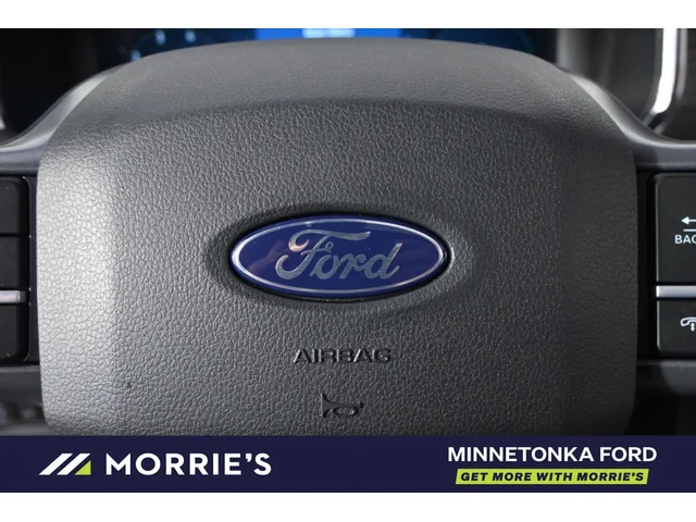 Nuevos FORD F-150 à Estados chez autogozo