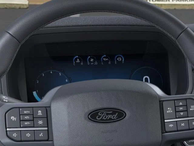 Nuevos FORD F-150 à Estados chez autogozo