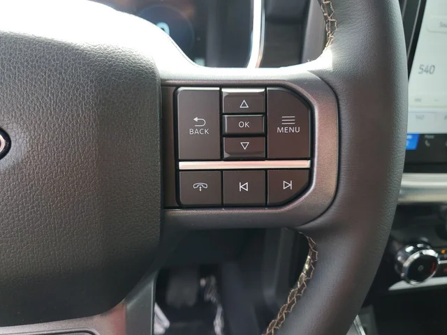 Nuevos FORD F-150 à Estados chez autogozo