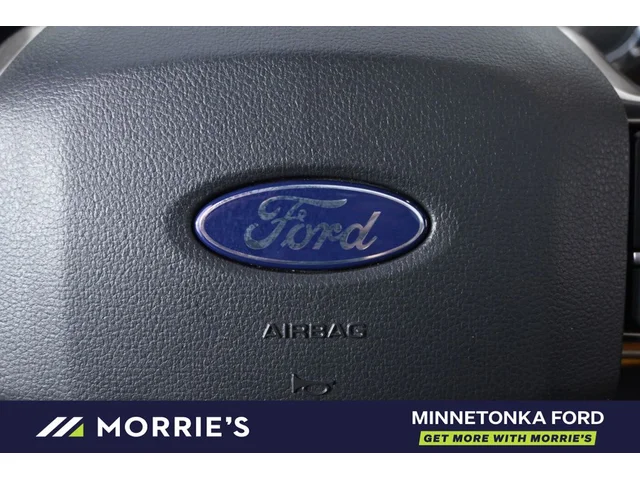 Nuevos FORD F-150 à Estados chez autogozo