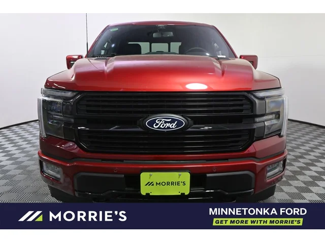 Nuevos FORD F-150 à Estados chez autogozo