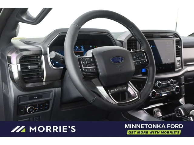 Nuevos FORD F-150 à Estados chez autogozo