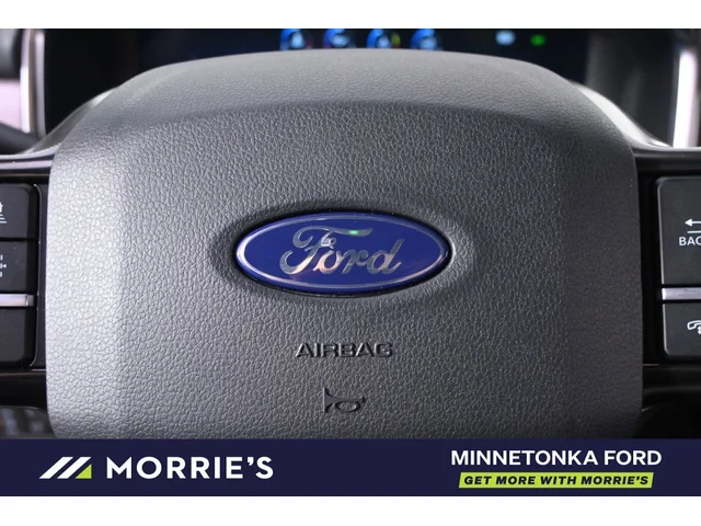 Nuevos FORD F-150 à Estados chez autogozo