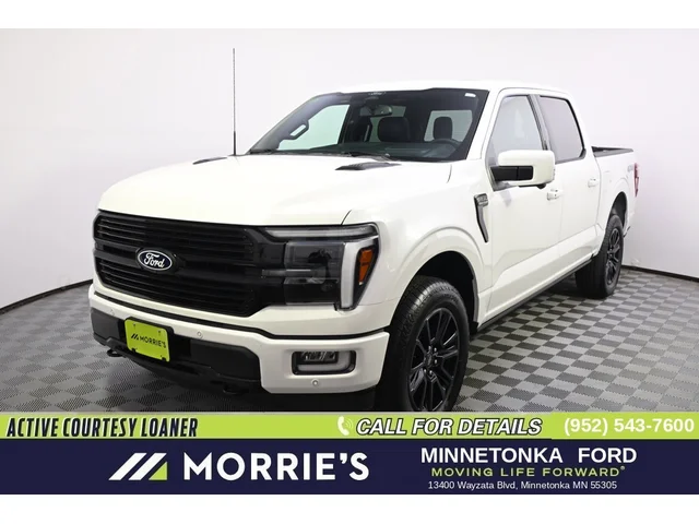 Nuevos FORD F-150 à Estados chez autogozo