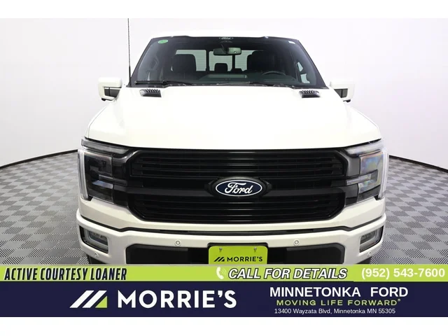 Nuevos FORD F-150 à Estados chez autogozo