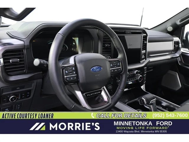 Nuevos FORD F-150 à Estados chez autogozo
